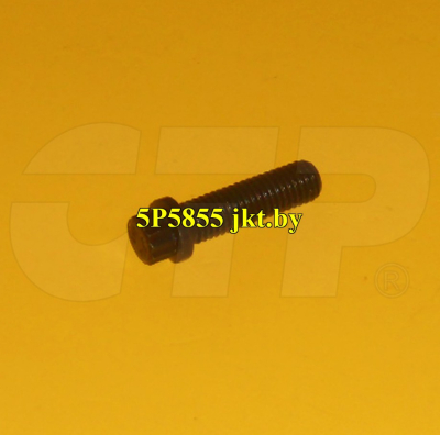 5P5855