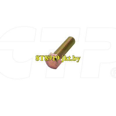 8T8919
